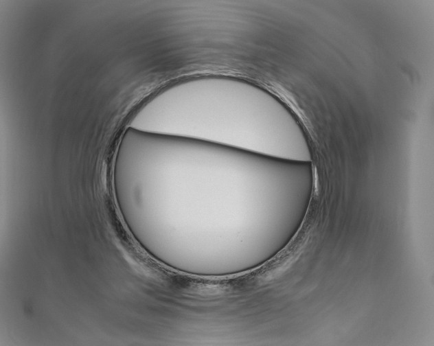 X0000110970205200906191118