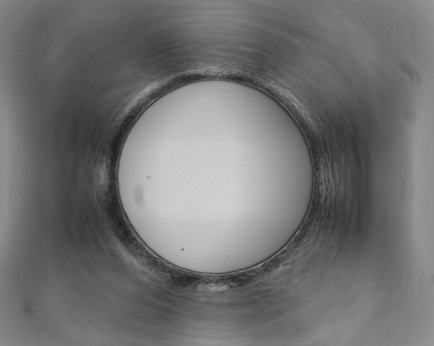 X0000110970208200906191118