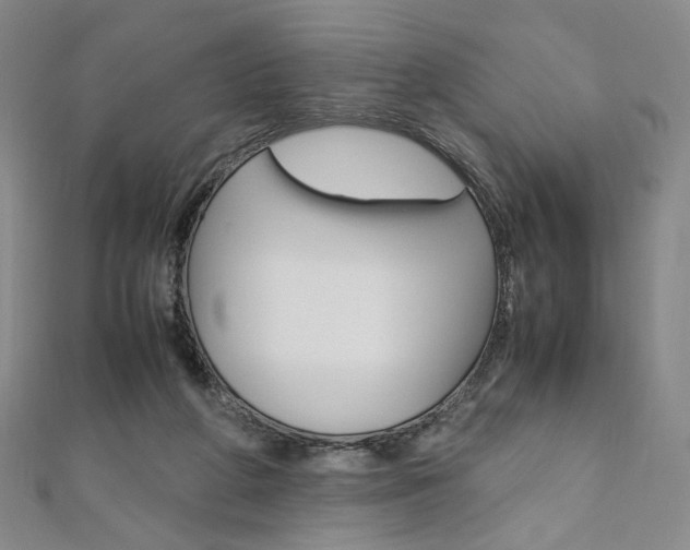 X0000110970210200906191118