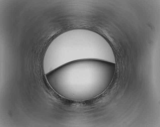 X0000110970211200906191118