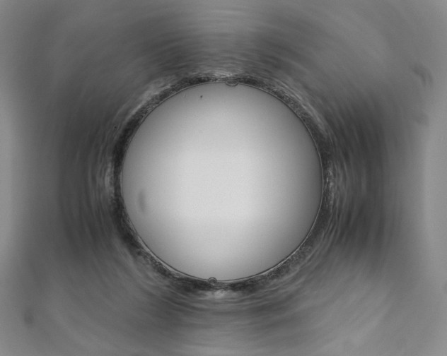 X0000110970212200906191118