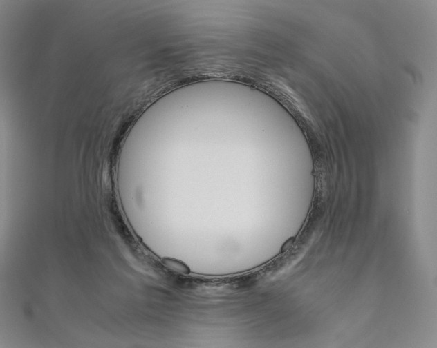 X0000110970213200906191118