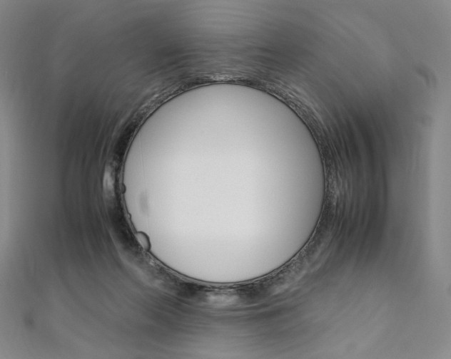 X0000110970214200906191118