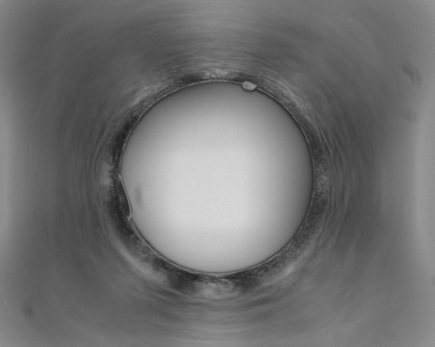 X0000110970215200906191118