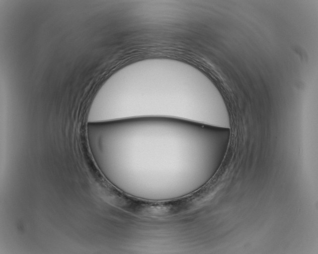 X0000110970217200906191118