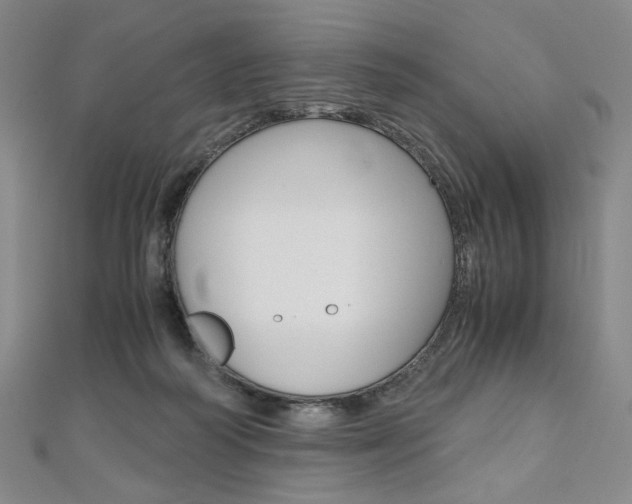 X0000110970218200906191118