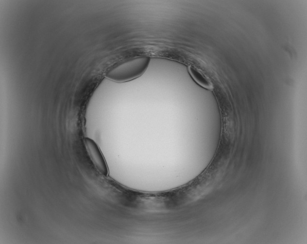 X0000110970221200906191118