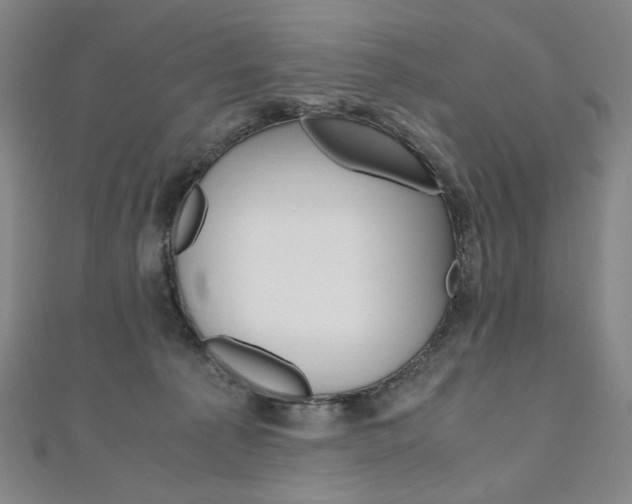 X0000110970225200906191118