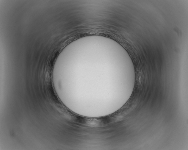 X0000110970226200906191118
