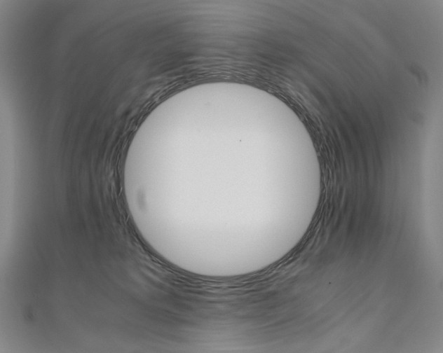 X0000110970229200906191117