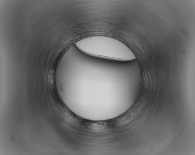 X0000110970232200906191117