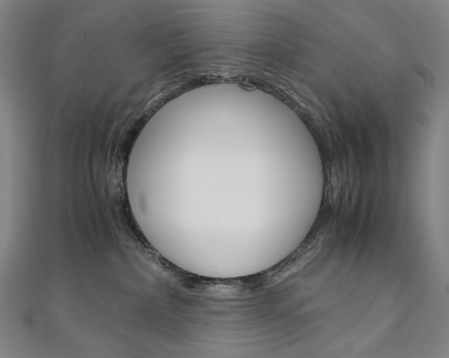 X0000110970236200906191117