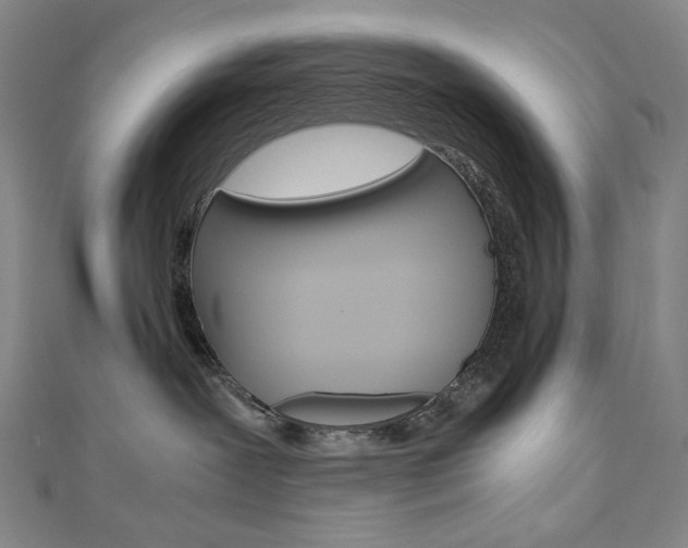 X0000110970239200906191117