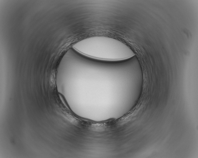 X0000110970240200906191117