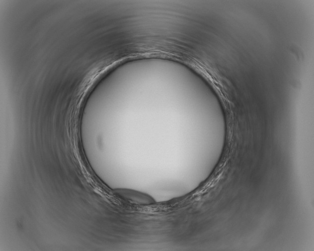 X0000110970241200906191117