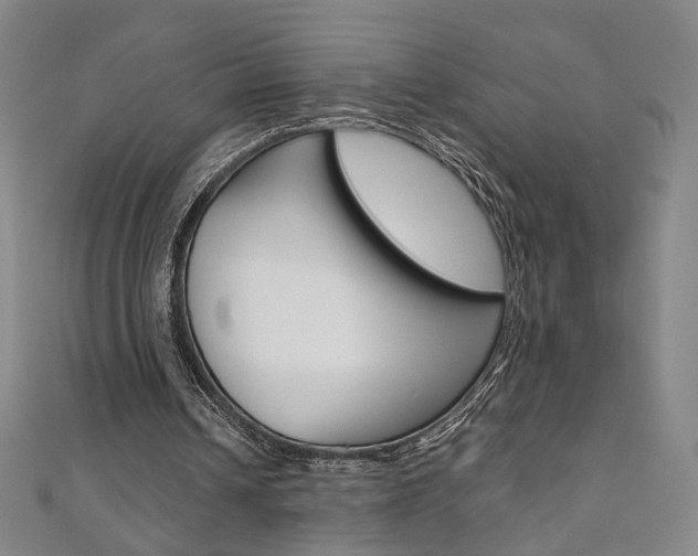 X0000110970242200906191117