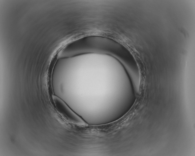 X0000110970244200906191117