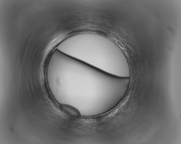 X0000110970245200906191117
