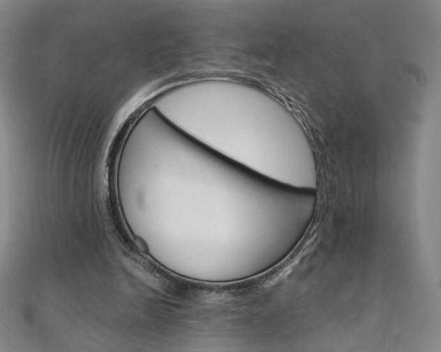X0000110970246200906191117