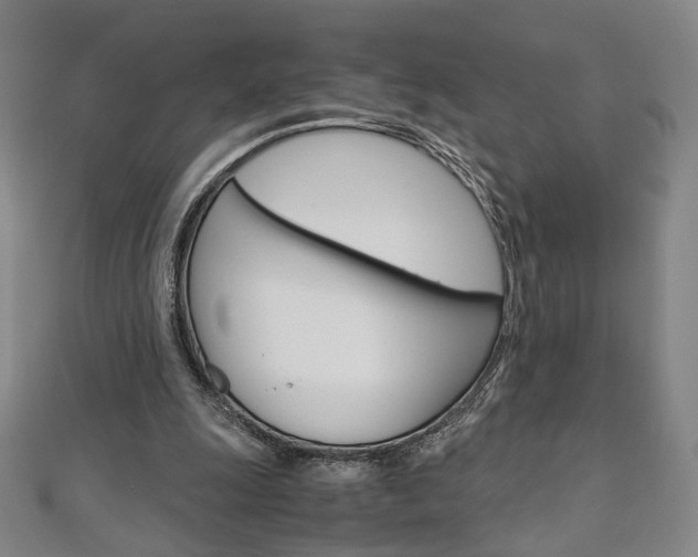 X0000110970247200906191117