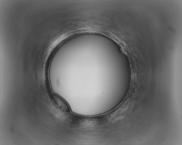 X0000110970248200906191117