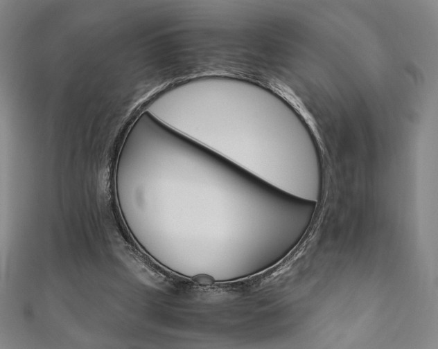 X0000110970249200906191117