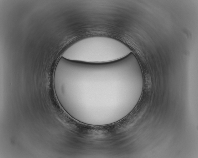 X0000110970255200906191117