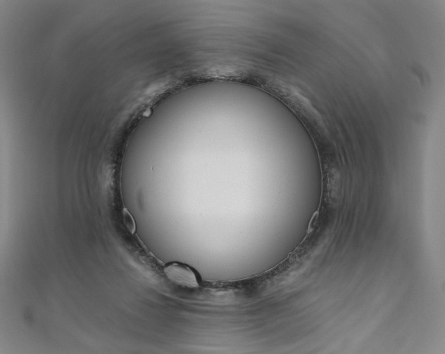 X0000110970260200906191117