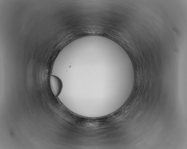 X0000110970263200906191117