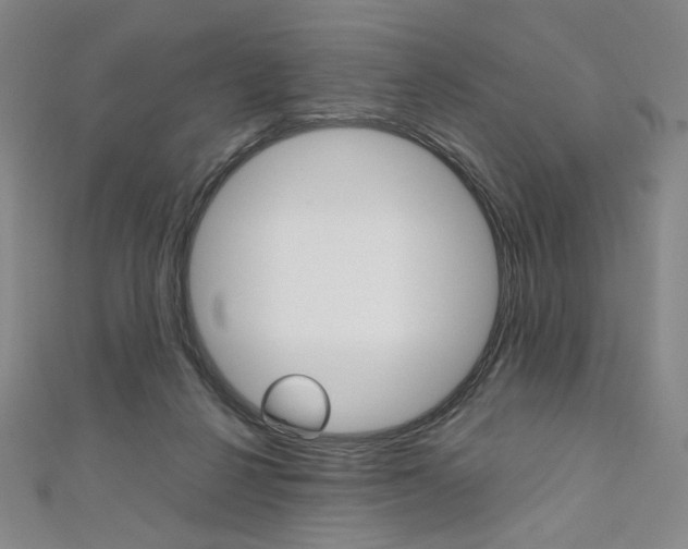 X0000110970264200906191117