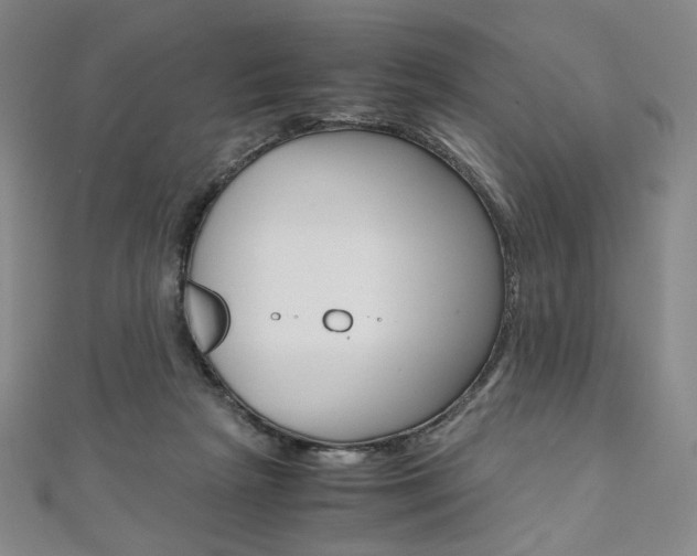 X0000110970265200906191117