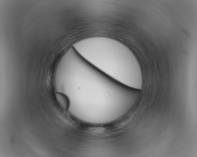 X0000110970266200906191117