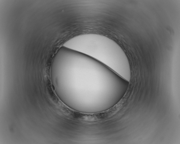 X0000110970272200906191117