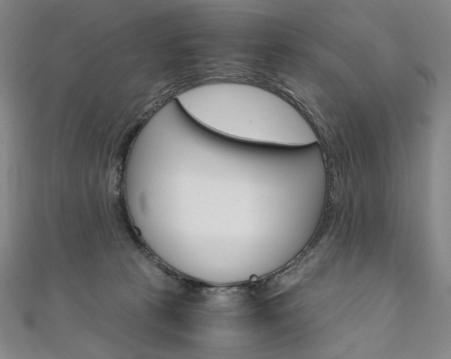 X0000110970273200906191117