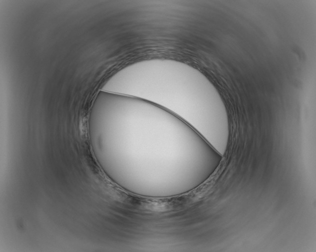 X0000110970276200906191117
