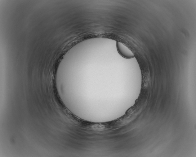 X0000110970279200906191117