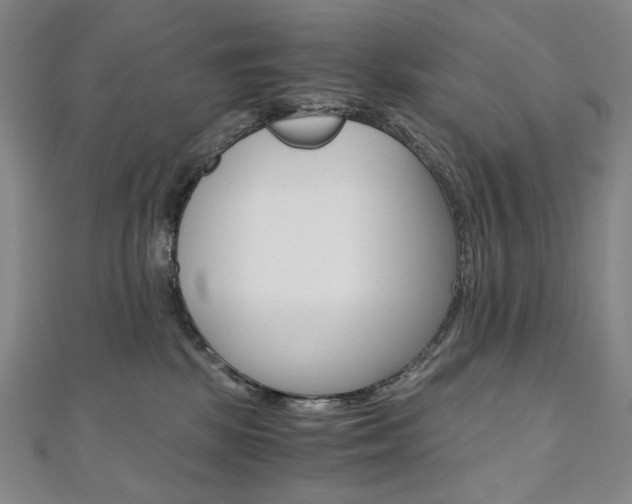 X0000110970281200906191117