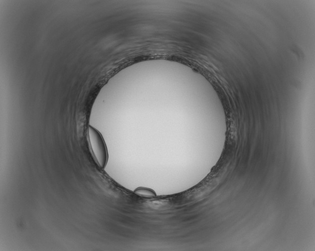 X0000110970283200906191117