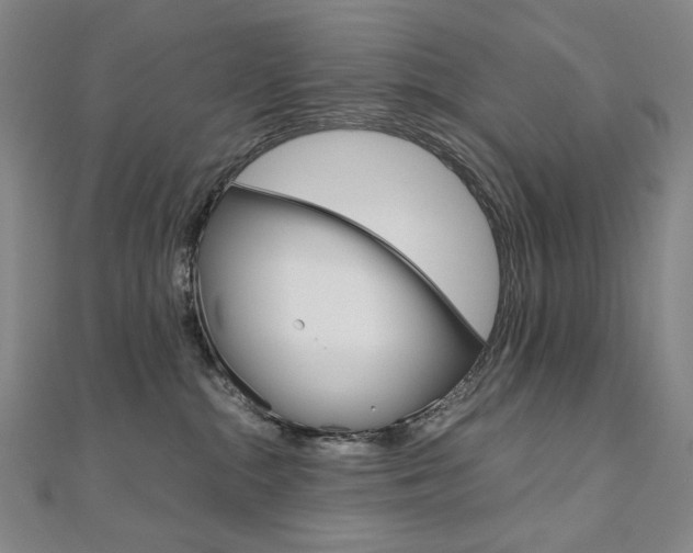 X0000110970284200906191117