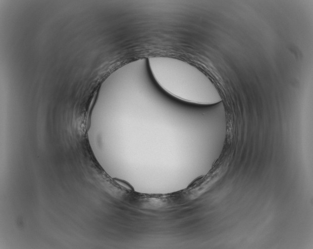 X0000110970285200906191117