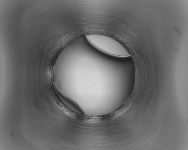 X0000110970288200906191117