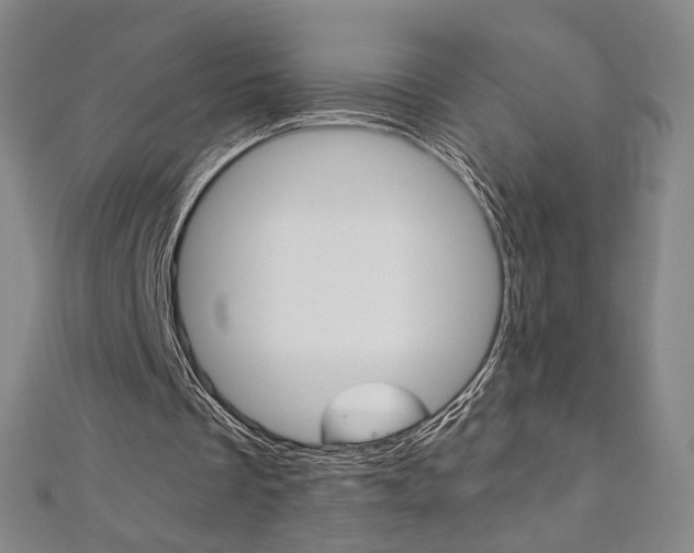X0000110970289200906191117