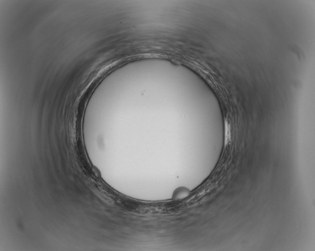 X0000110970291200906191117