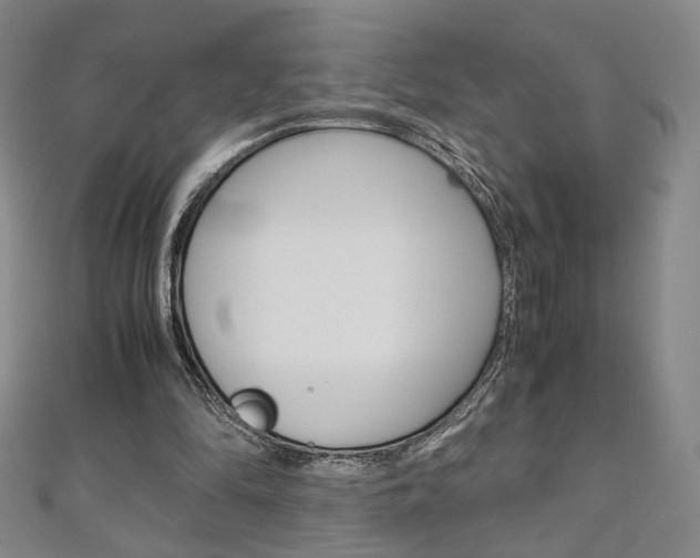 X0000110970294200906191116