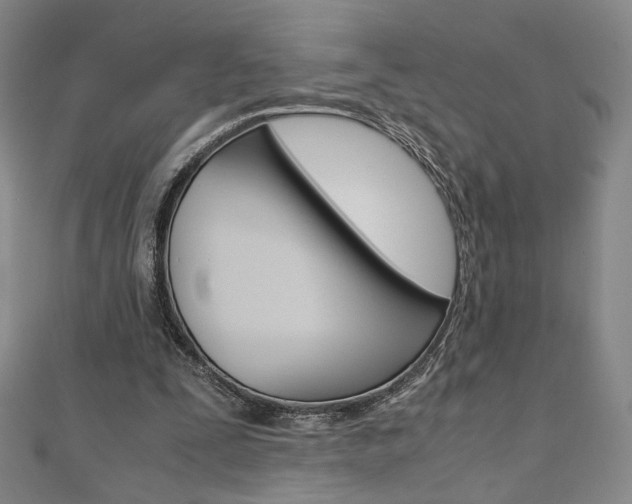 X0000110970295200906191116