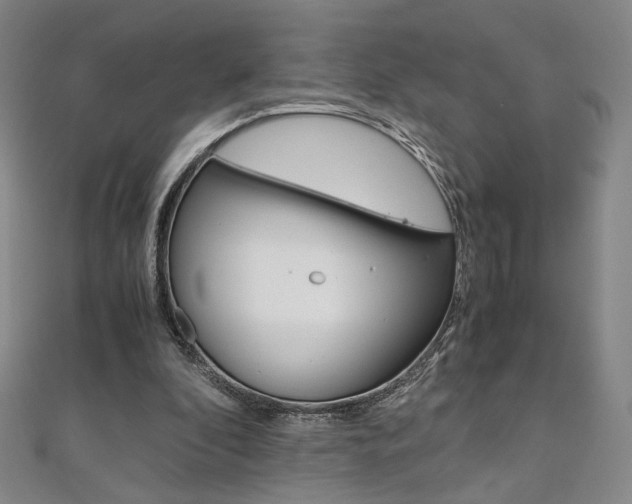 X0000110970296200906191116