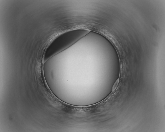 X0000110970297200906191116