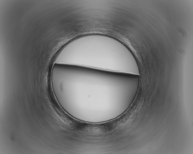 X0000110970299200906191116