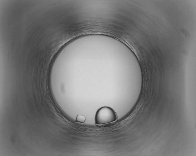 X0000110970301200906191116
