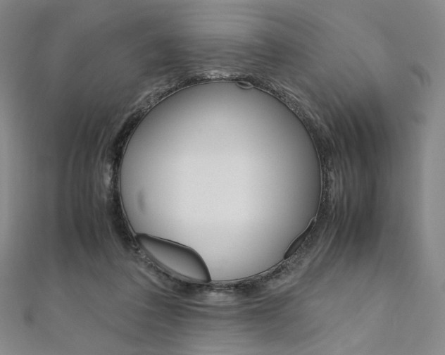 X0000110970308200906191116